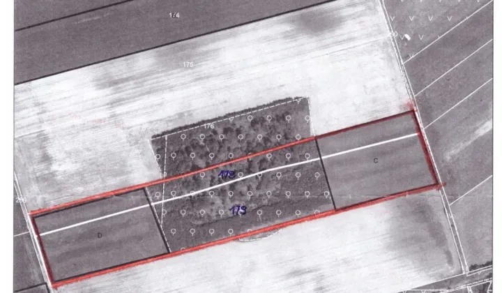 Działka rolna Dalewo