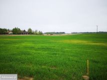 Działka rolna Tałty. Zdjęcie 3