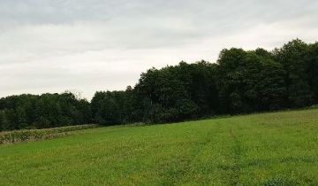 Działka rolna Stary Dębsk