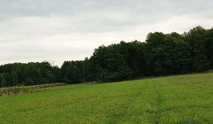 Działka rolna Stary Dębsk