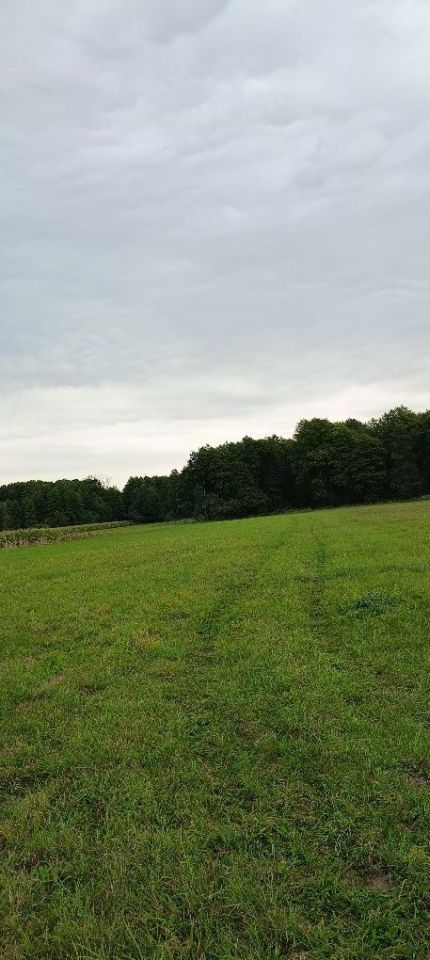 Działka rolna Stary Dębsk