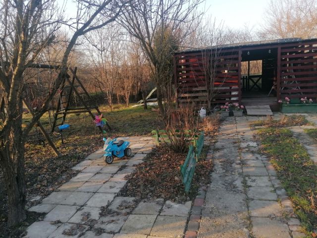 Działka rod Lublin Śródmieście, ul. Działkowa. Zdjęcie 1