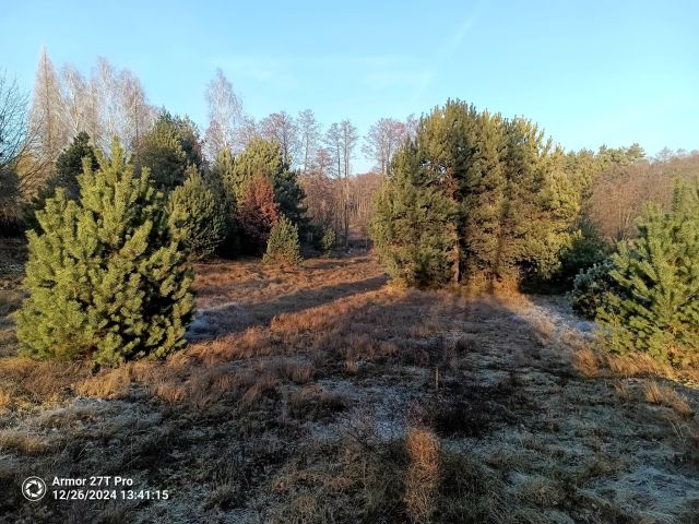 Działka budowlana Rudki. Zdjęcie 1