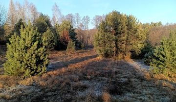 Działka budowlana Rudki