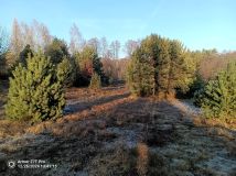 Działka budowlana Rudki