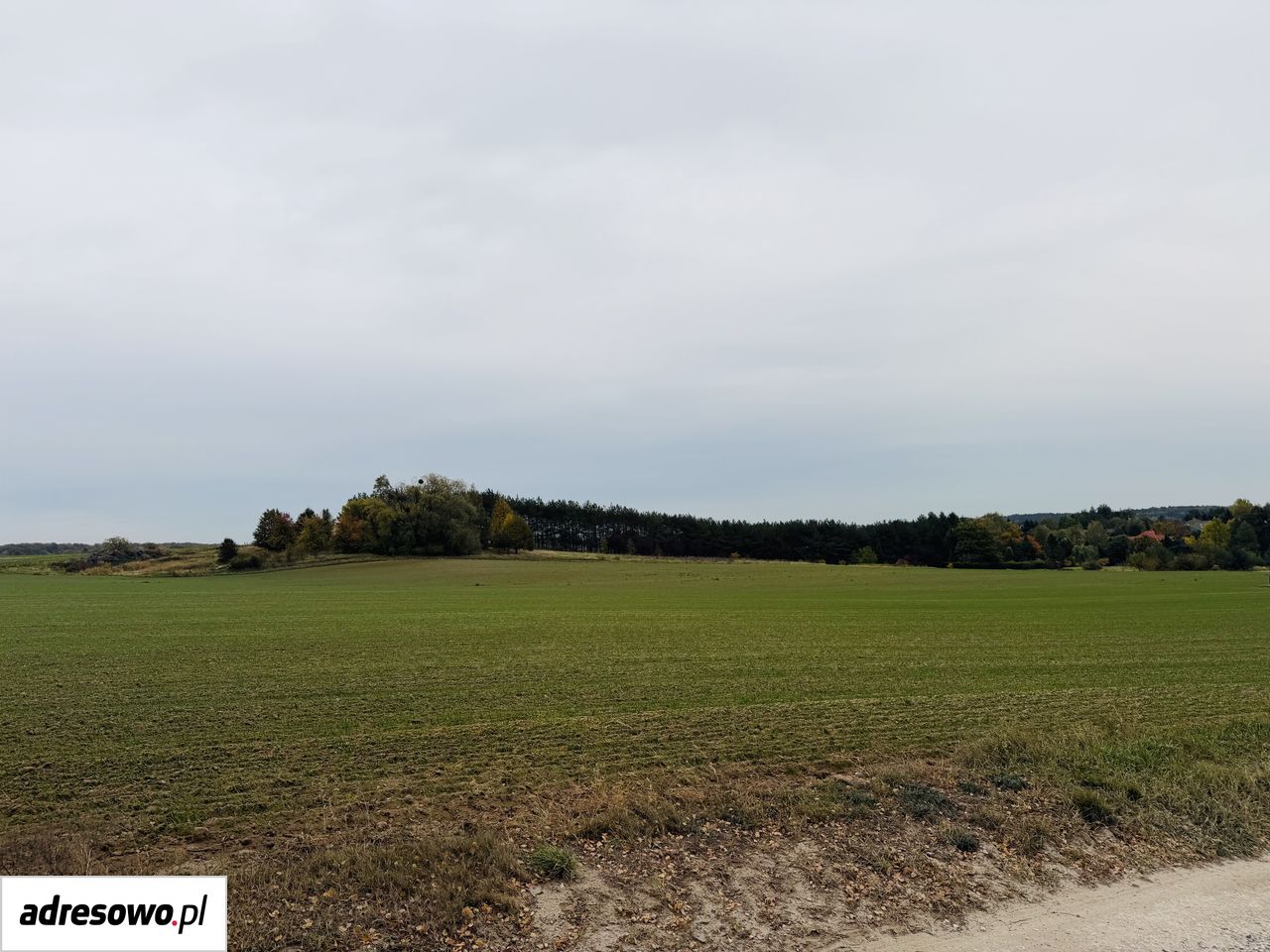 Działka budowlana Nowe Skoszewy. Zdjęcie 2