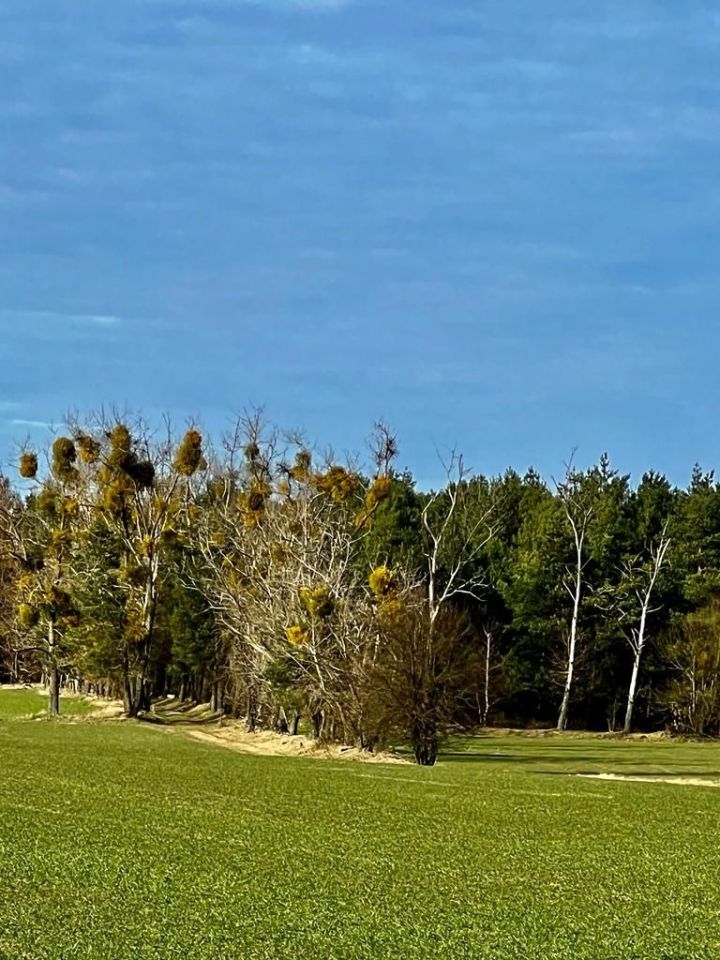 Działka rolna Będzeń. Zdjęcie 7