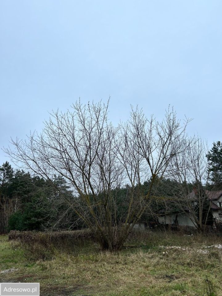 Działka budowlana Wola Aleksandra, ul. Wolska. Zdjęcie 17