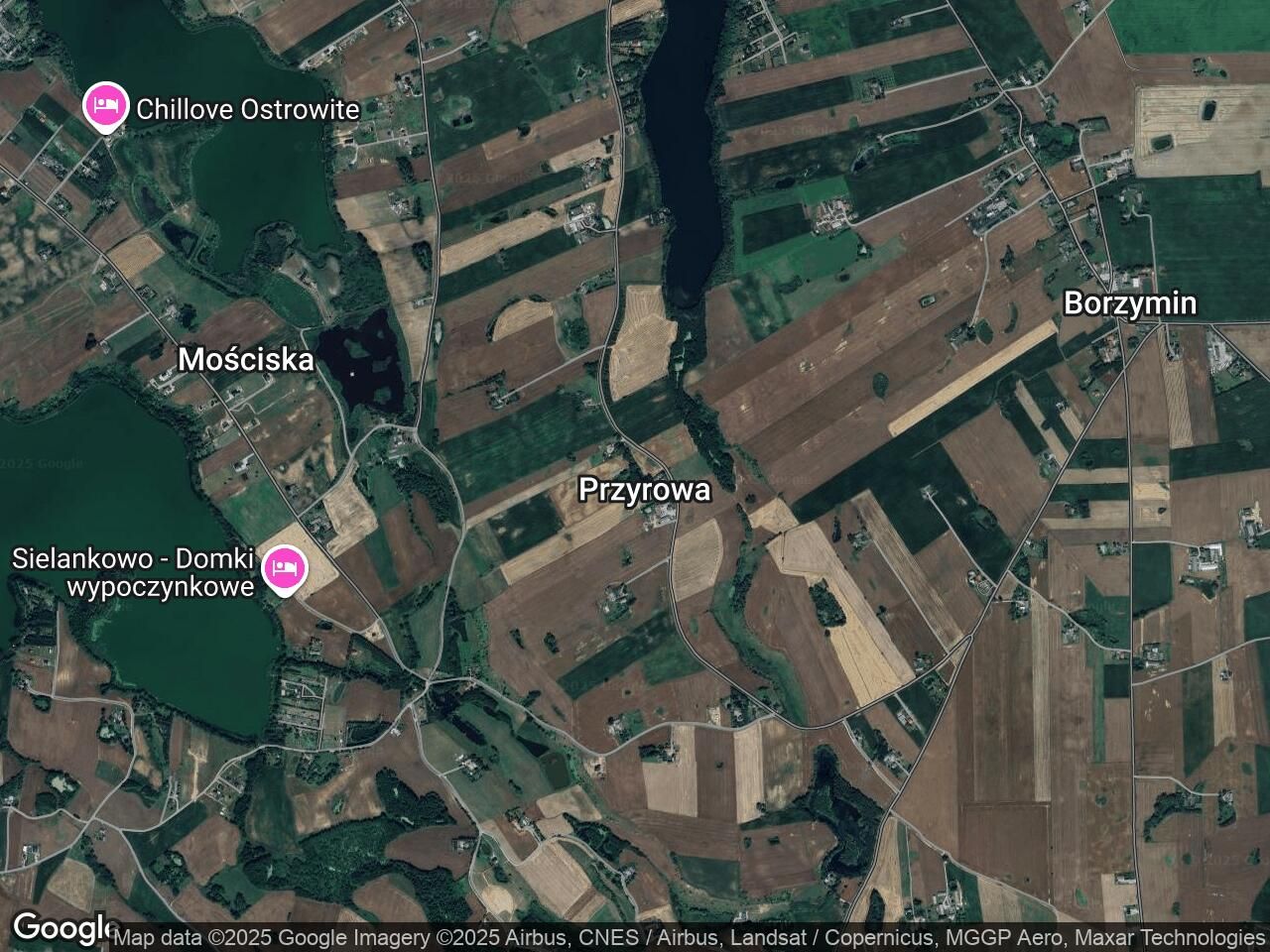 Działka rolna Radzynek