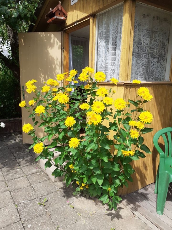 Działka rod Olsztyn Nagórki, al. Aleja Generała Władysława Sikorskiego. Zdjęcie 5