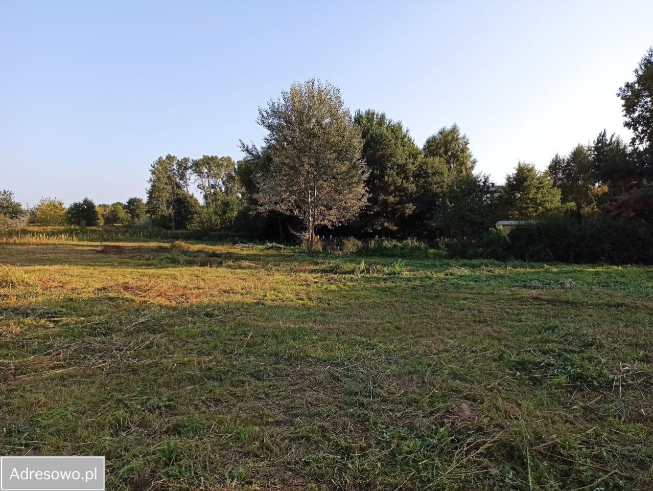 Działka budowlana Warszawa Wawer, ul. Skalnicowa. Zdjęcie 6