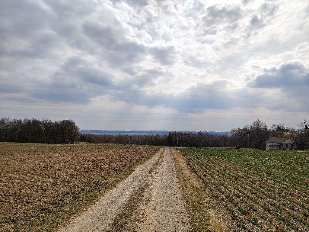 Działka budowlana Zastawie-Kolonia. Zdjęcie 7