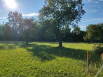 Działka budowlana Trzciniec. Zdjęcie 3