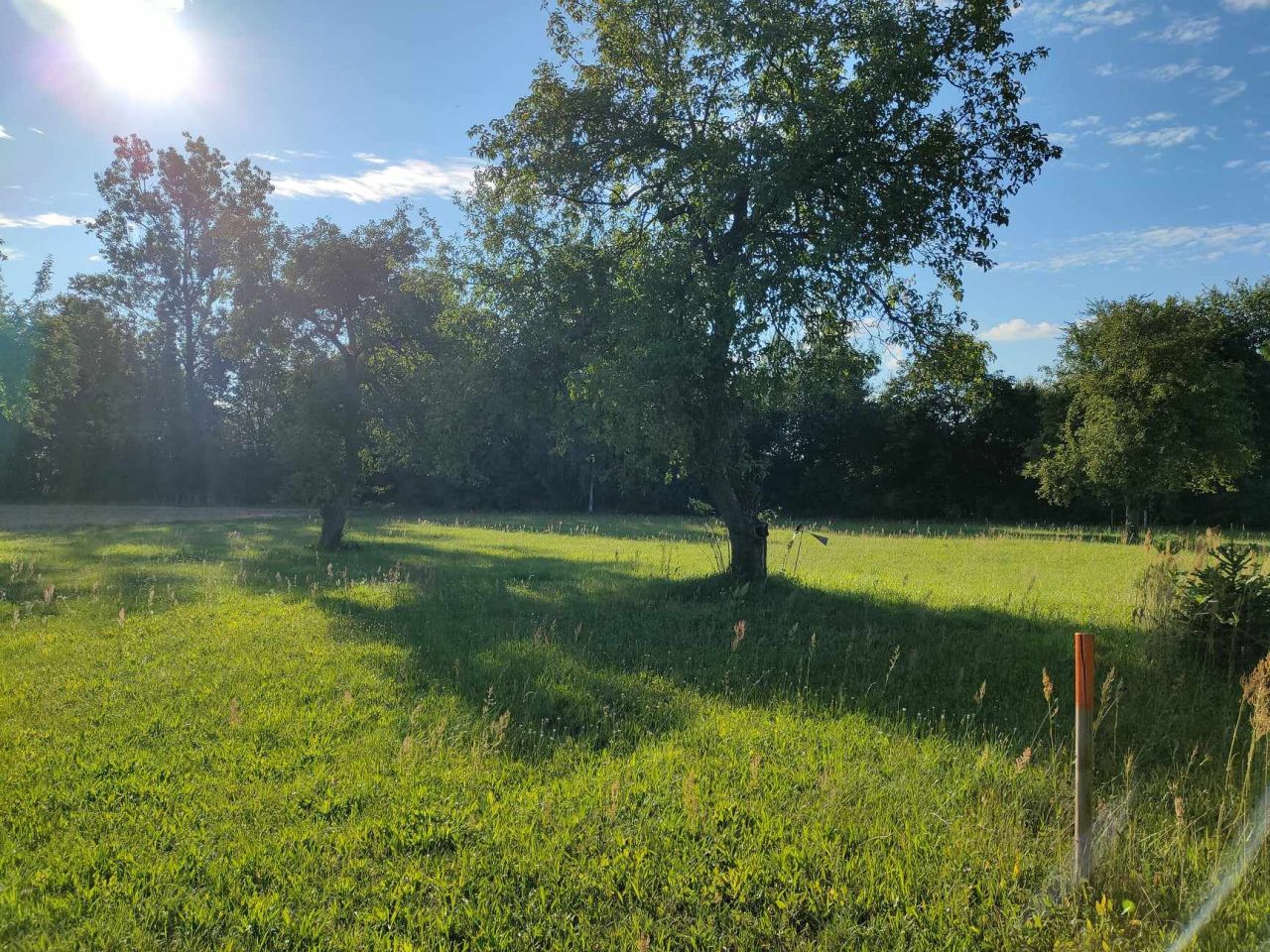 Działka budowlana Trzciniec. Zdjęcie 4