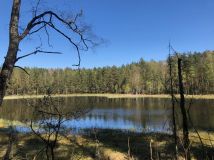 Działka budowlana Chośnica. Zdjęcie 3