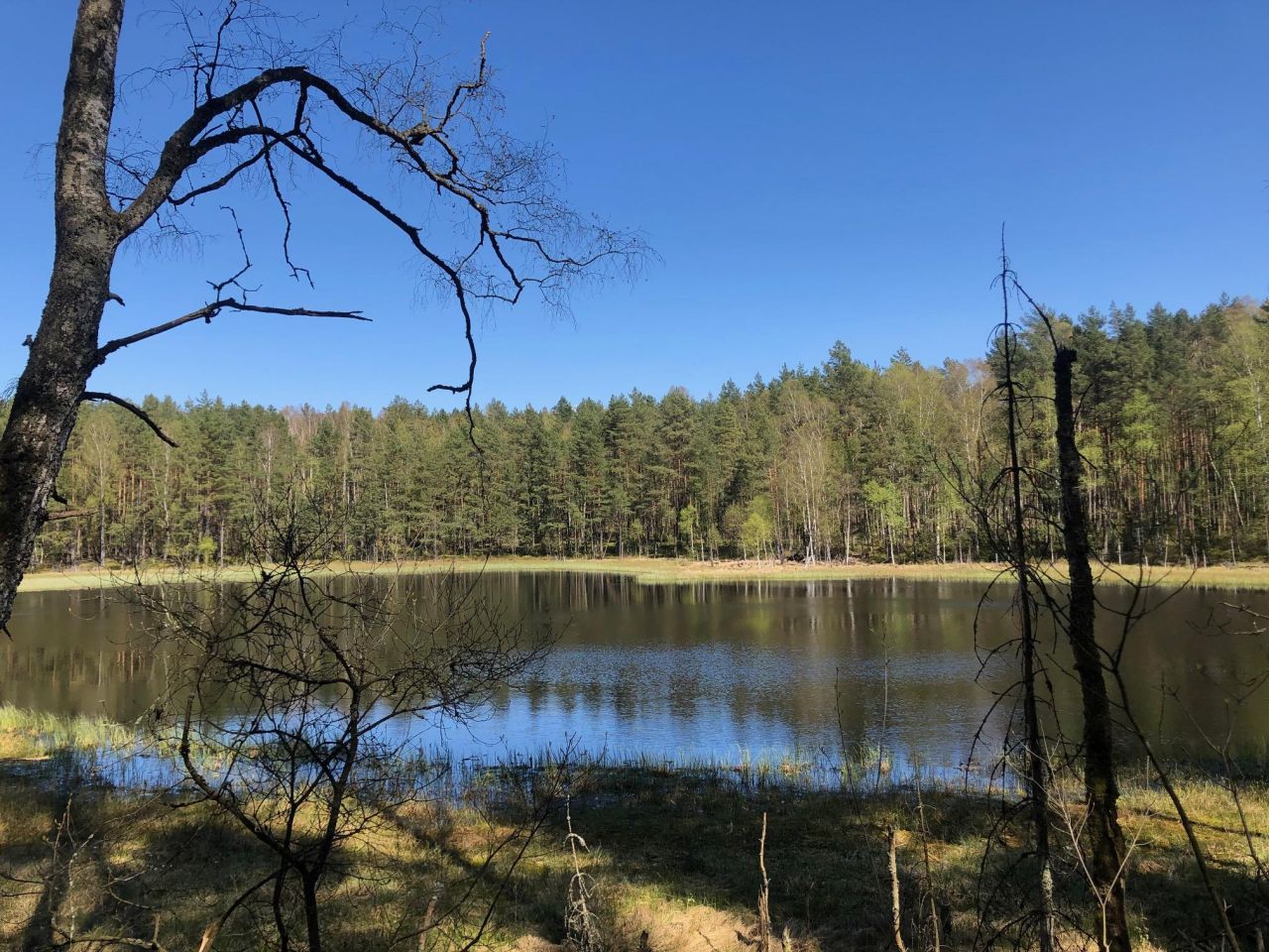 Działka budowlana Chośnica. Zdjęcie 4