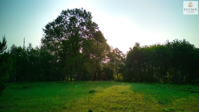 Działka budowlana Samin. Zdjęcie 5