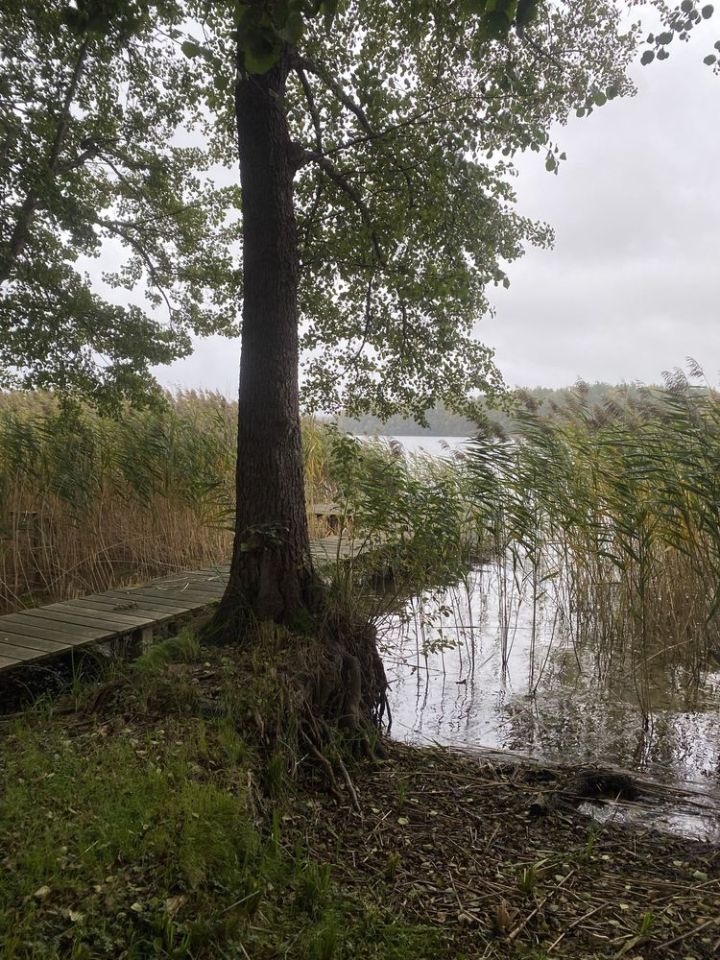 Działka rolno-budowlana Ługowo. Zdjęcie 4