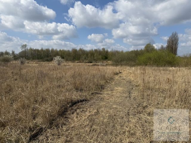 Działka budowlana Mierzyn. Zdjęcie 1