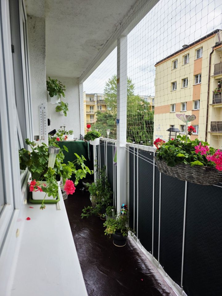 Mieszkanie 3-pokojowe Toruń, ul. Wojska Polskiego. Zdjęcie 3