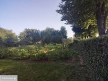 Działka budowlana Bełżyce, ul. Przemysłowa. Zdjęcie 3