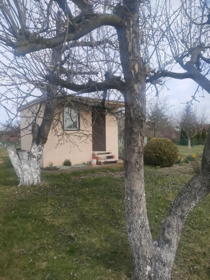 Działka rod Lubin Przylesie, ul. Józefa Piłsudskiego