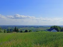 Działka budowlana Podleśna Wola. Zdjęcie 2