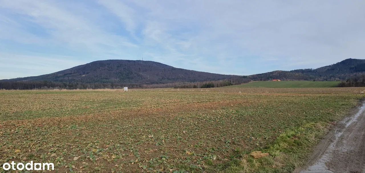 Działka budowlana Tąpadła. Zdjęcie 3
