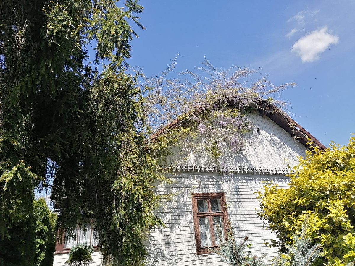 Działka budowlana Lipinki. Zdjęcie 16