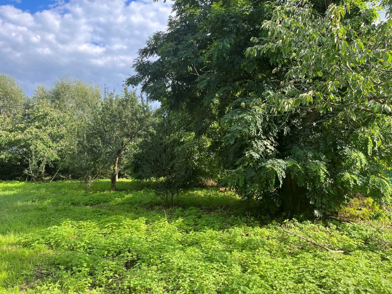 Działka budowlana Dębicz. Zdjęcie 8