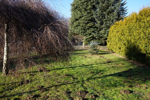 dom wolnostojący, 5 pokoi Rzeszów Wilkowyja. Zdjęcie 8