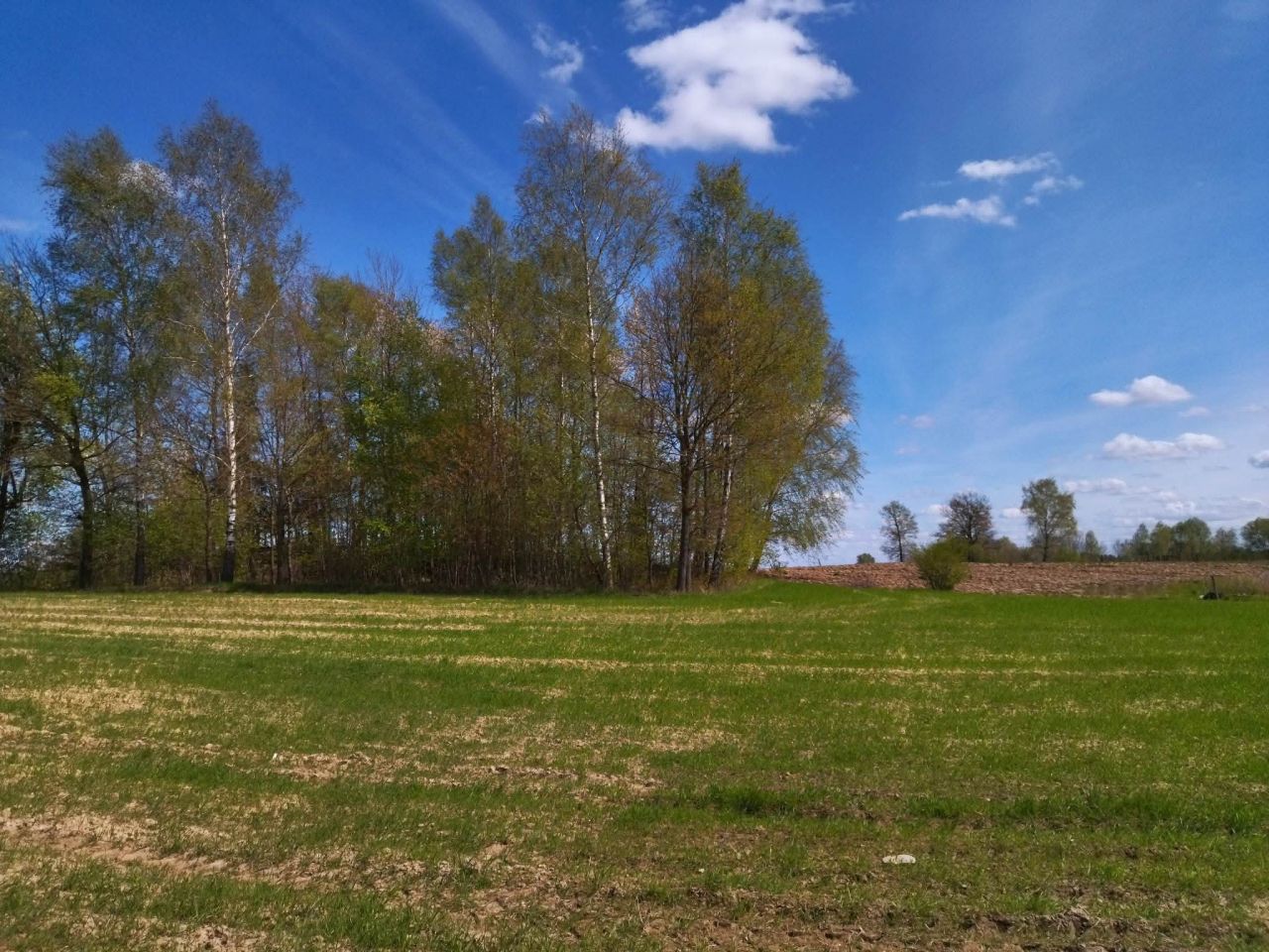 Działka budowlana Łączno. Zdjęcie 17