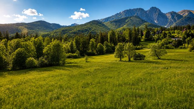 Działka rolna Zakopane, ul. Droga na Wierch. Zdjęcie 1