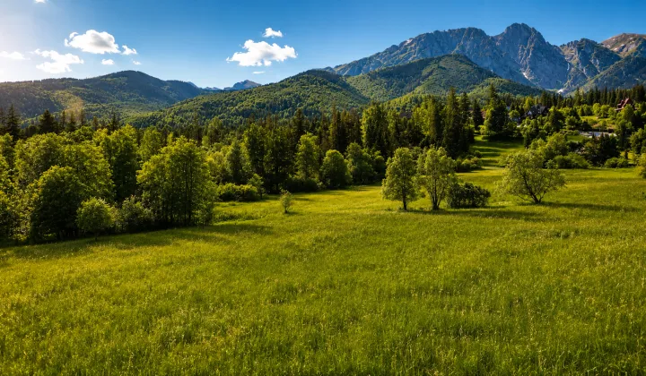 Działka rolna Zakopane, ul. Droga na Wierch