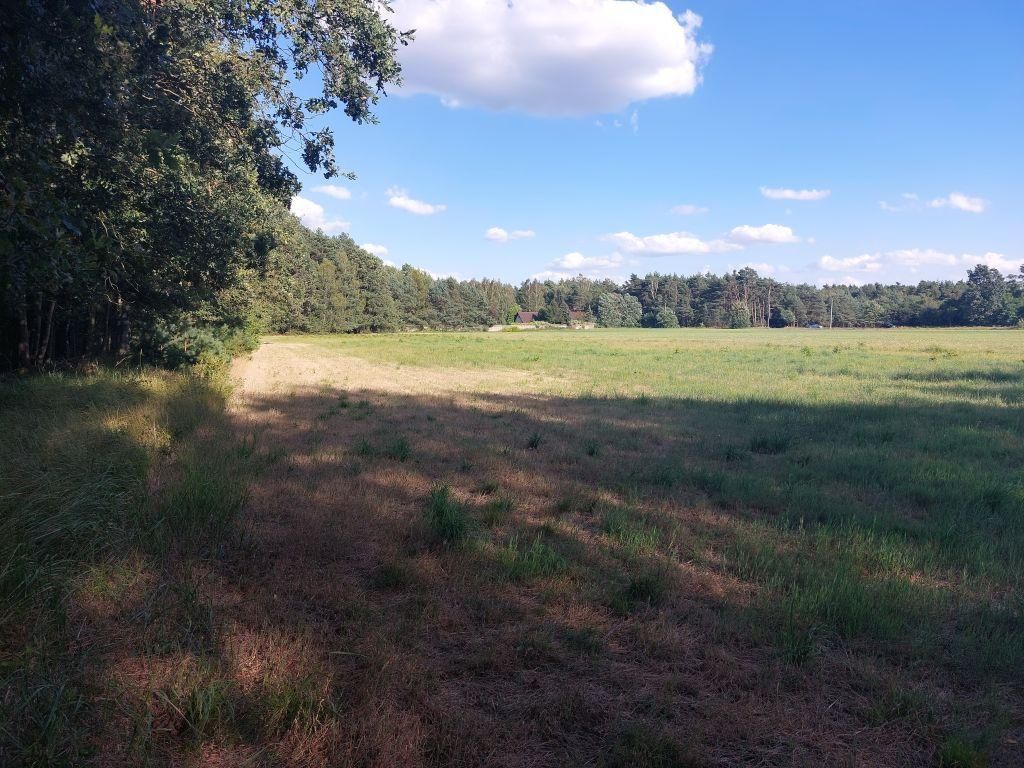 Działka rolno-budowlana Zamęty. Zdjęcie 11