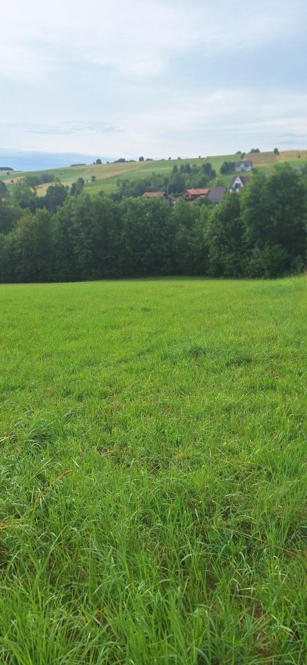 Działka budowlana Siedlce. Zdjęcie 2