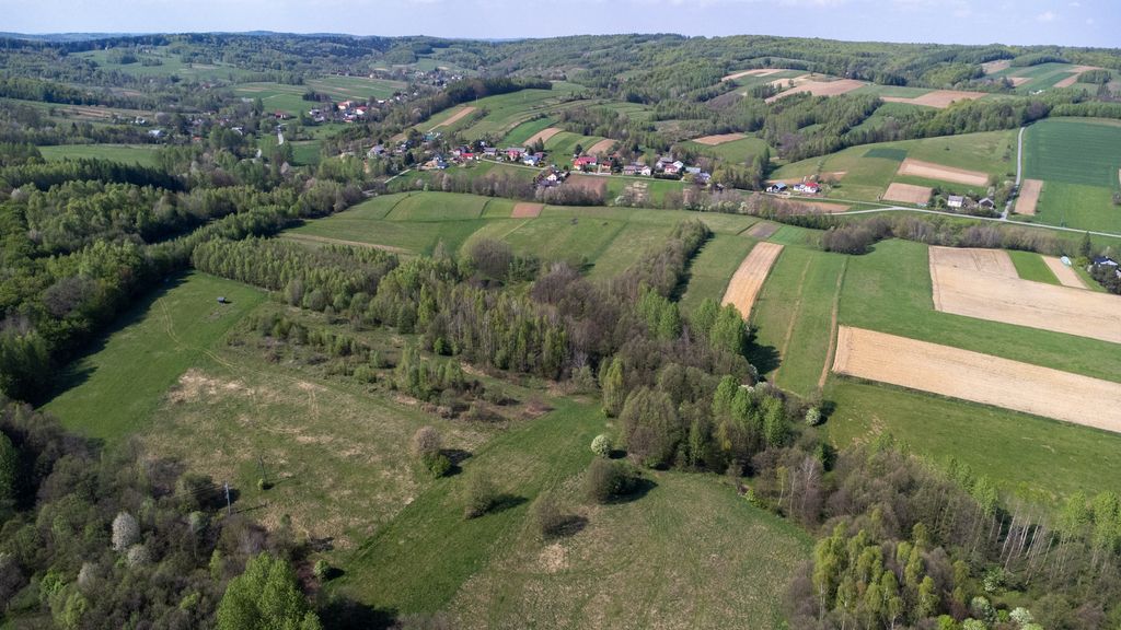 Działka rolna Laskówka. Zdjęcie 20