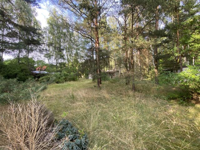 Działka rekreacyjna Rokitnica. Zdjęcie 4