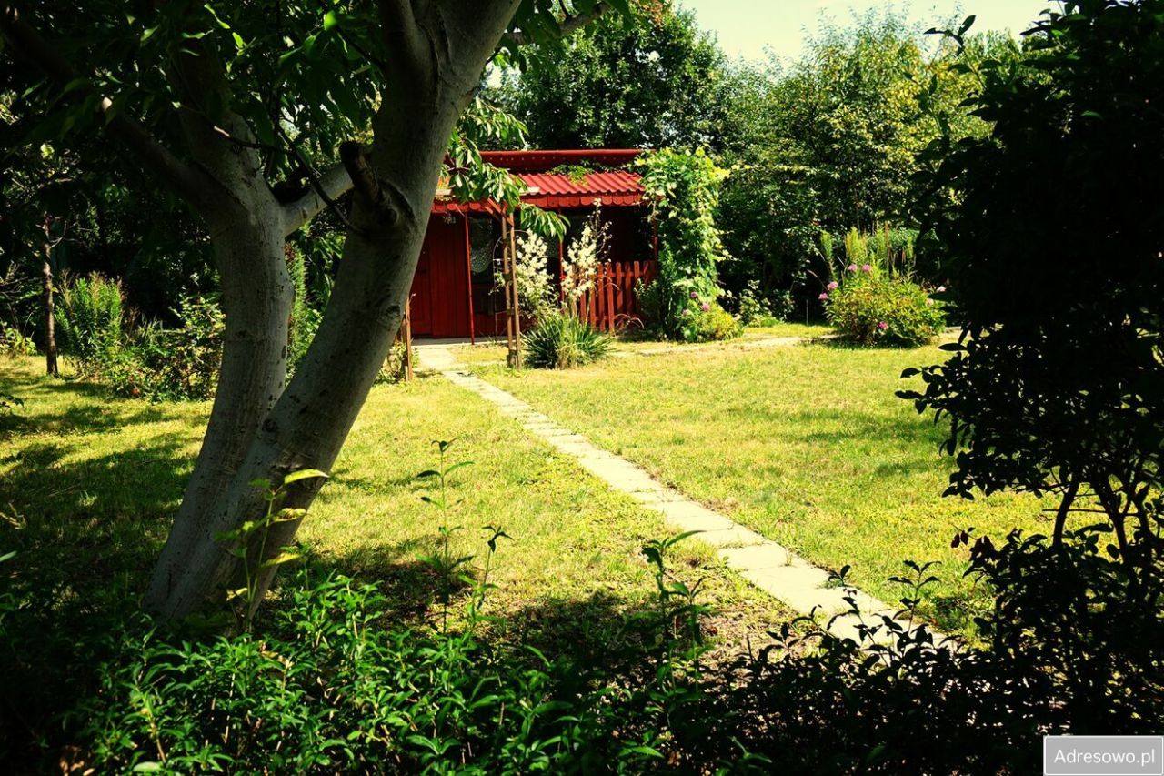 Działka rod Rzeszów, ul. Ignacego Paderewskiego. Zdjęcie 3