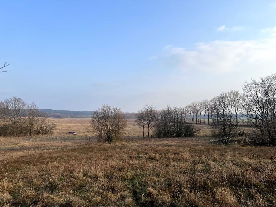 Działka budowlana Drzeniów. Zdjęcie 3