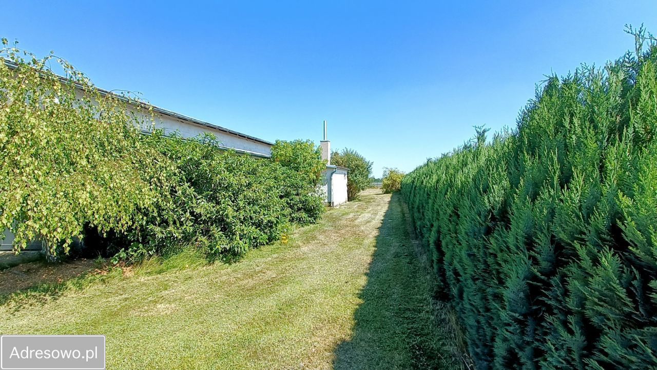 Hala/magazyn Miłoszyce, ul. Czereśniowa. Zdjęcie 12