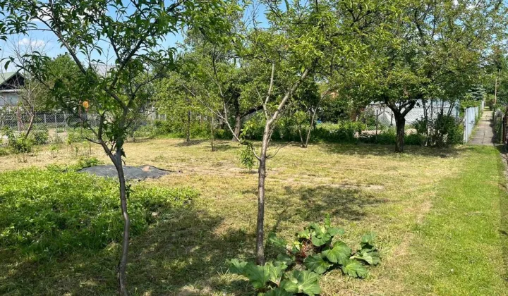 Działka rod Dębica, ul. Mościckiego