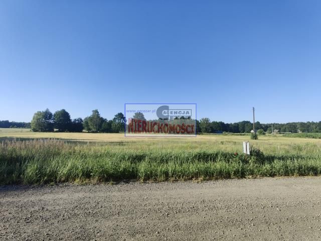 Działka rolno-budowlana Papiernia. Zdjęcie 5