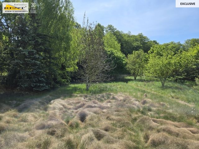 dom wolnostojący, 6 pokoi Szczecin Płonia, ul. Dobropole. Zdjęcie 35