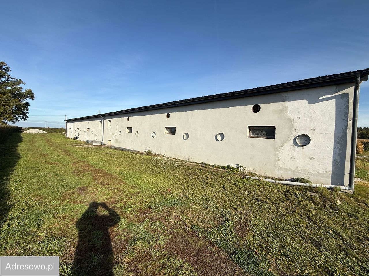 Hala/magazyn Pielgrzymowice. Zdjęcie 10