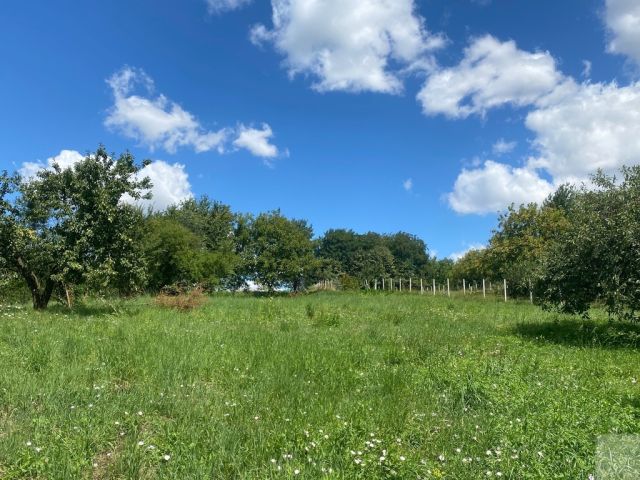 dom wolnostojący, 5 pokoi Trójczyce. Zdjęcie 18