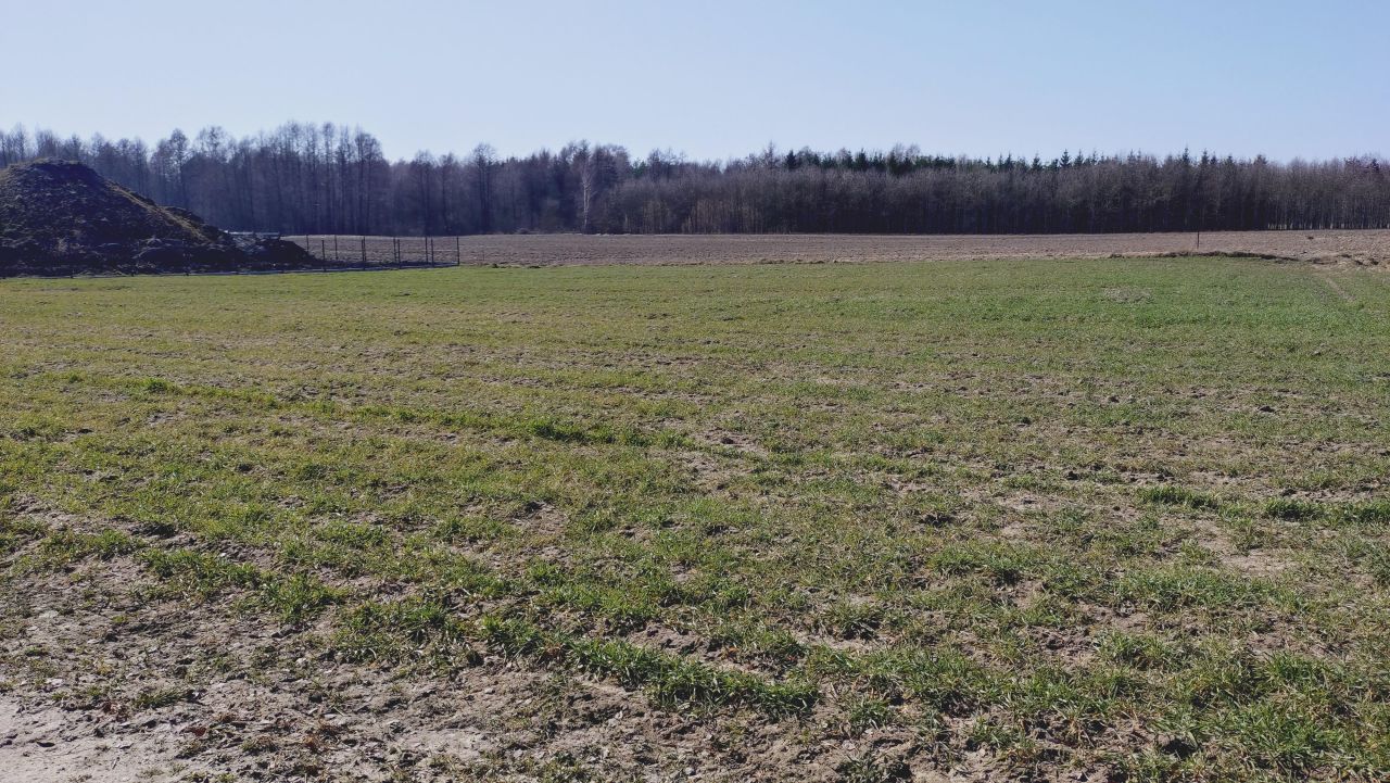 Działka budowlana Stara Jedlanka Jedlanka. Zdjęcie 4