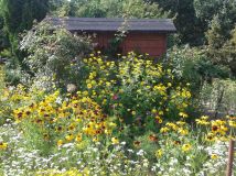 Działka rod Lublin Zimne Doły, ul. Wojciechowska. Zdjęcie 3