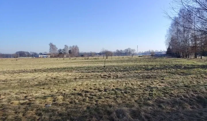 Działka budowlana Skrwilno, ul. Rypińska