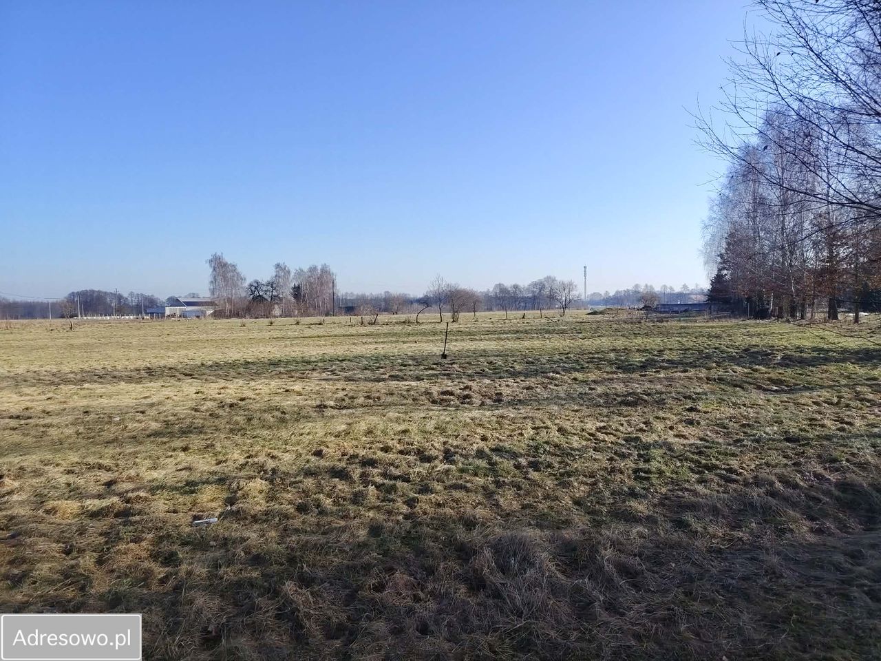 Działka budowlana Skrwilno, ul. Rypińska. Zdjęcie 1